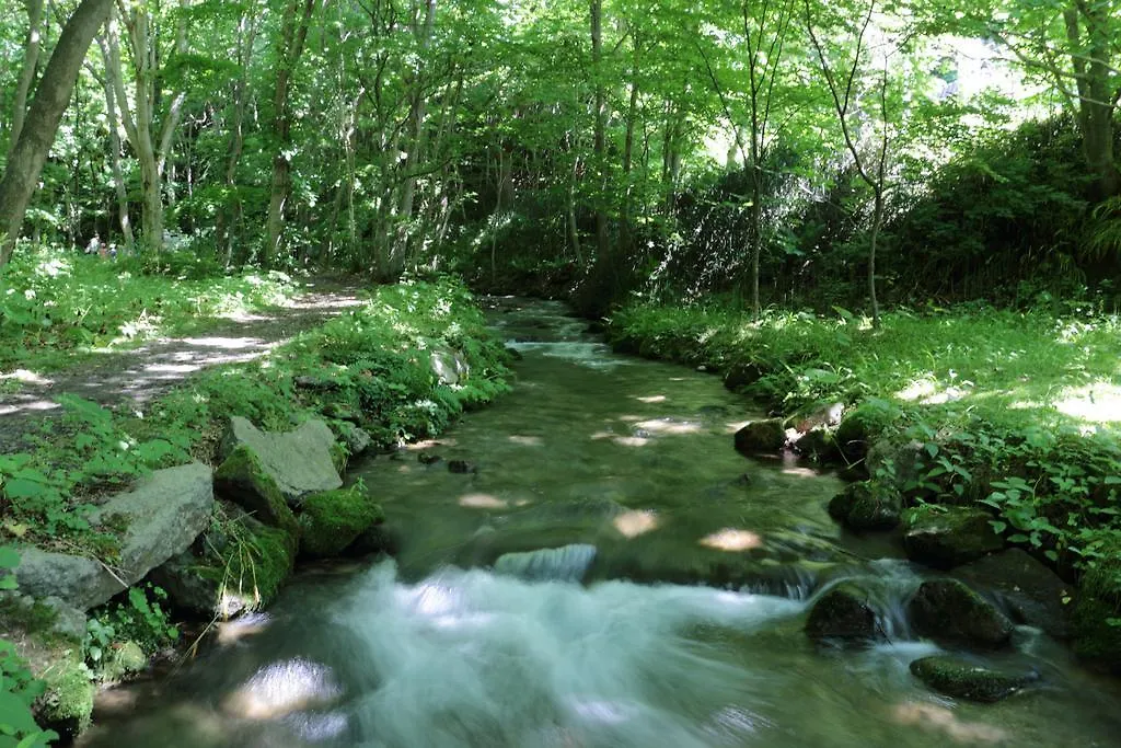 Kitayuzawa Mori No Soraniwa Ξενοδοχείο Date   Date (Hokkaido)
